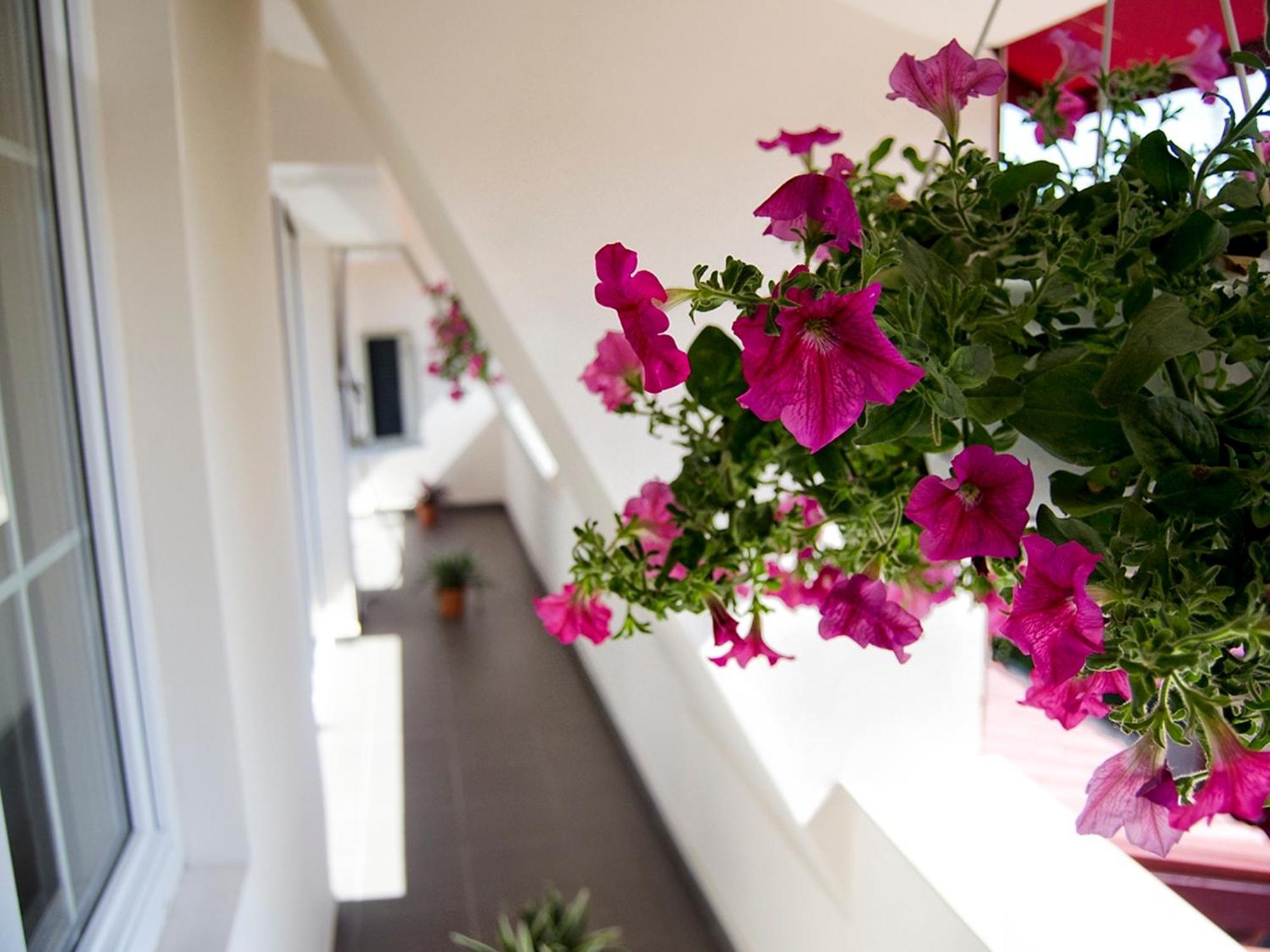 Hotel Tranzzit Bukareszt Zewnętrze zdjęcie